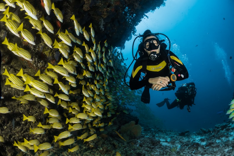 Mnemba Atoll Snorkeling